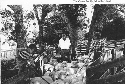 The Cotter family on Motuihe Island, photo by Don Whyte