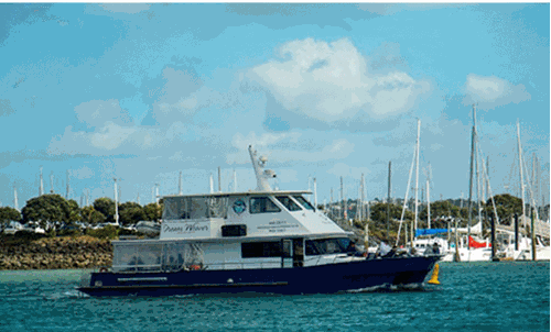 Dreamweaver at her berth in Westhaven