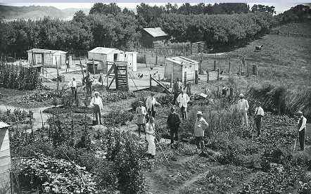 Internees growing their own vegetables on Motuihe Island