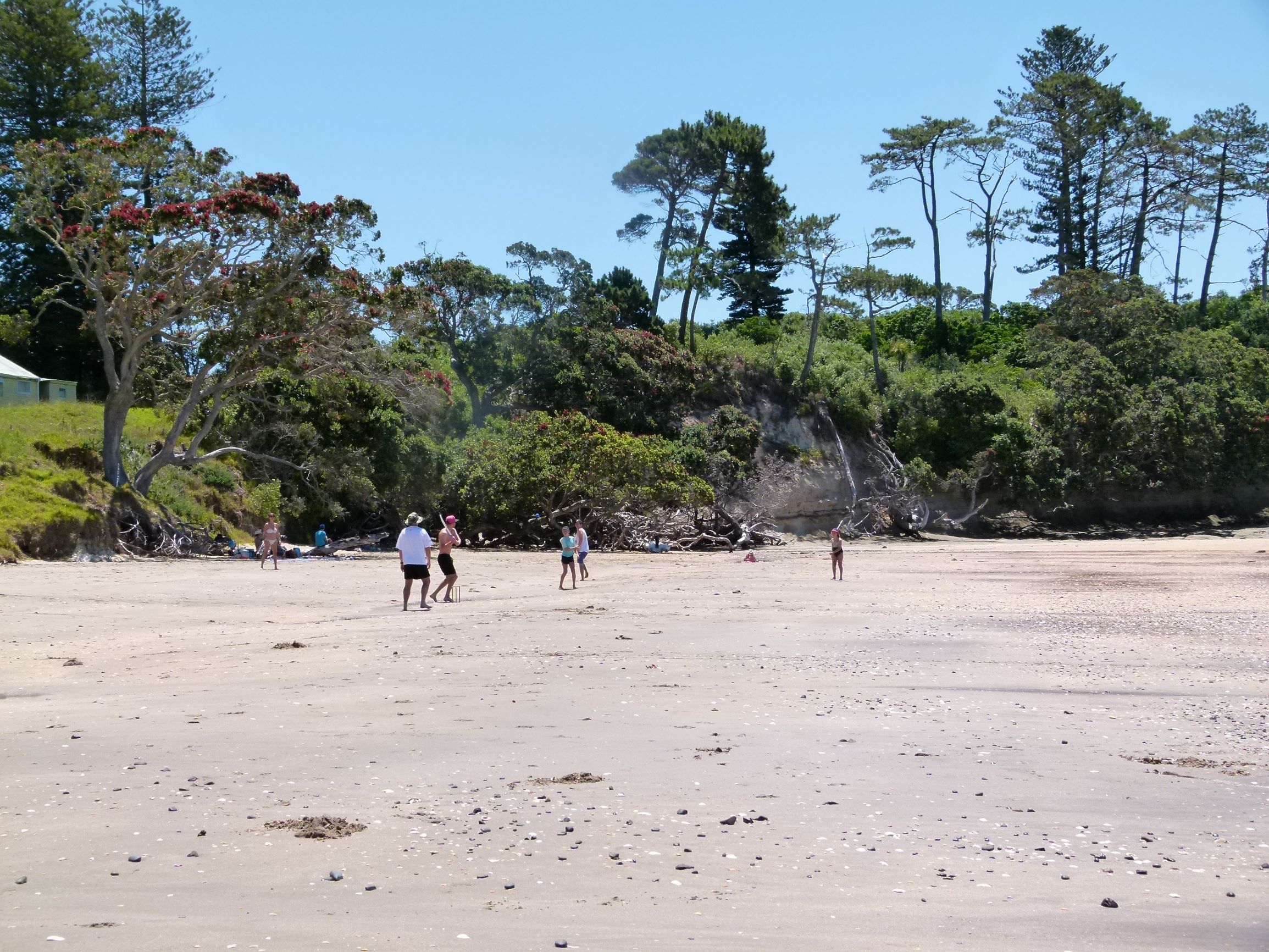 Beach fun and swimming on Motuihe Island