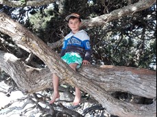 Children playing on Motuihe Island beach
