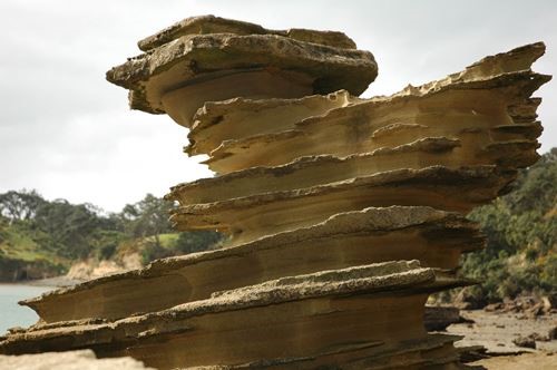 Coastal rock formations on Motuihe Island showing geological layers