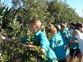 School students learning outdoors on Motuihe Island