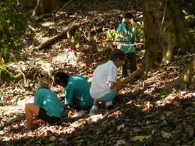 Students exploring the bush and foreshore on Motuihe Island