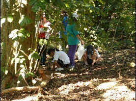 School group participating in conservation activities on Motuihe