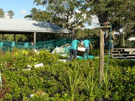 Students on a guided walk through Motuihe Island bush