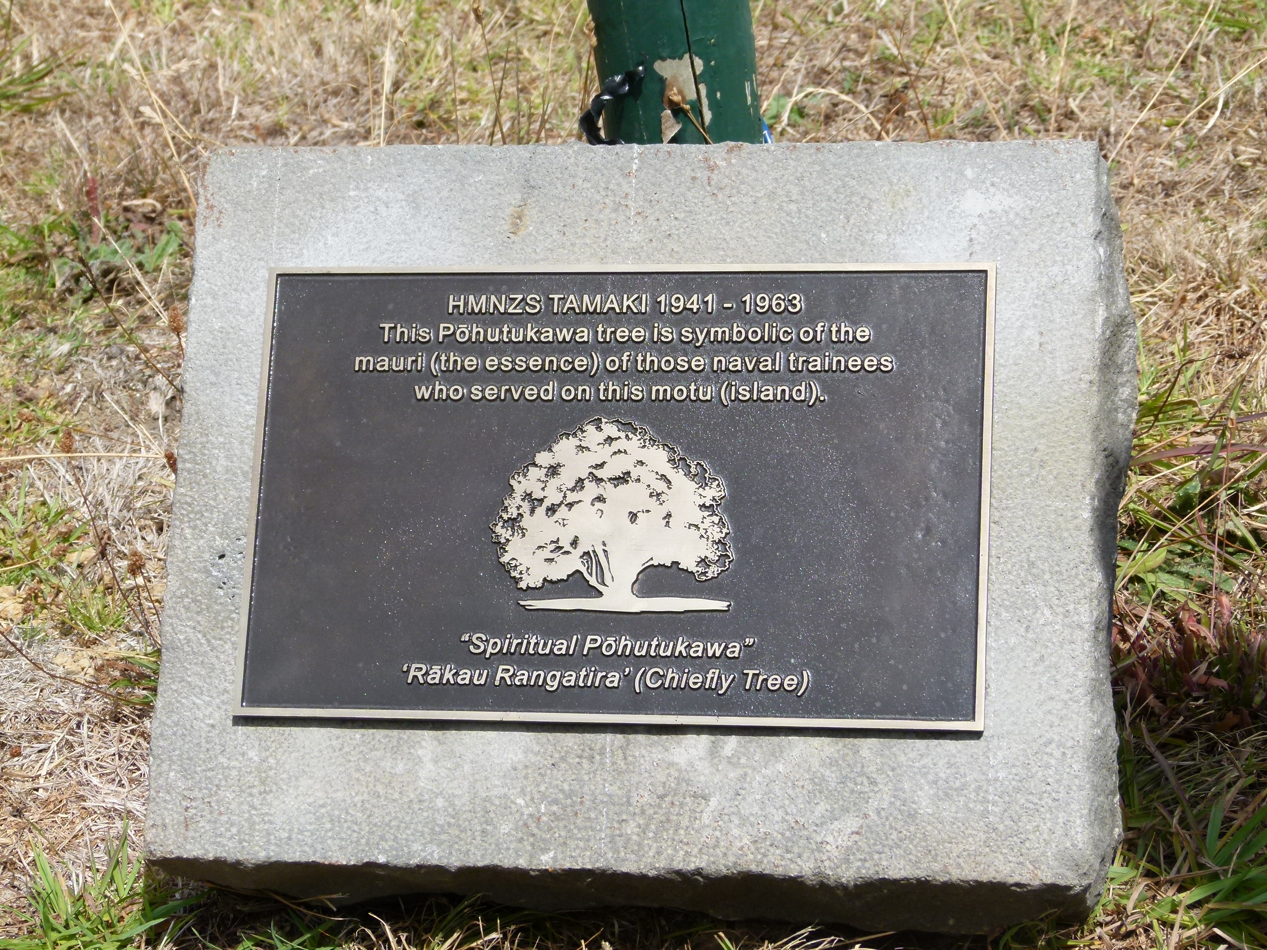 Second memorial plaque with pohutukawa tree planted as a living memorial