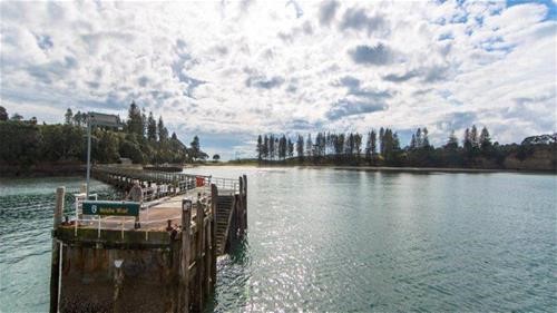 Norfolk pines giving the iconic view of Motuihe as you approach the wharf