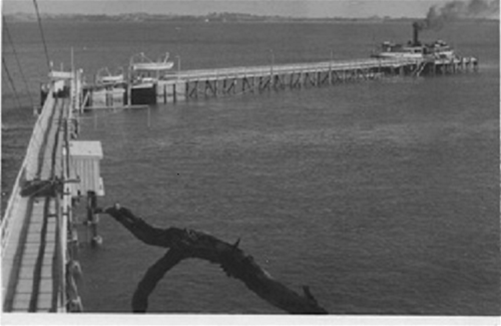 Old wharf at full length on Motuihe Island
