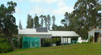 Woolshed on Motuihe Island converted to nursery and accommodation